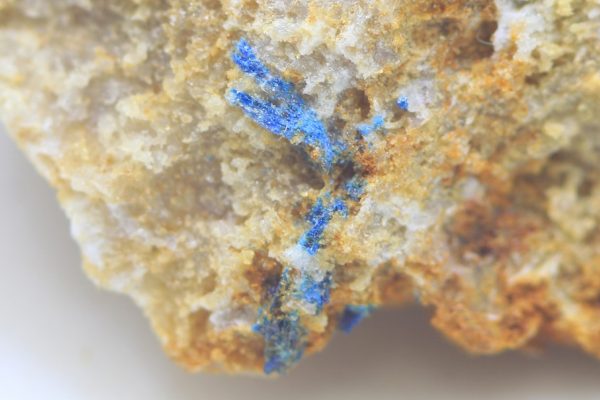 Frostite - Image 4