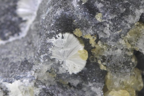 Dawsonite - Image 5