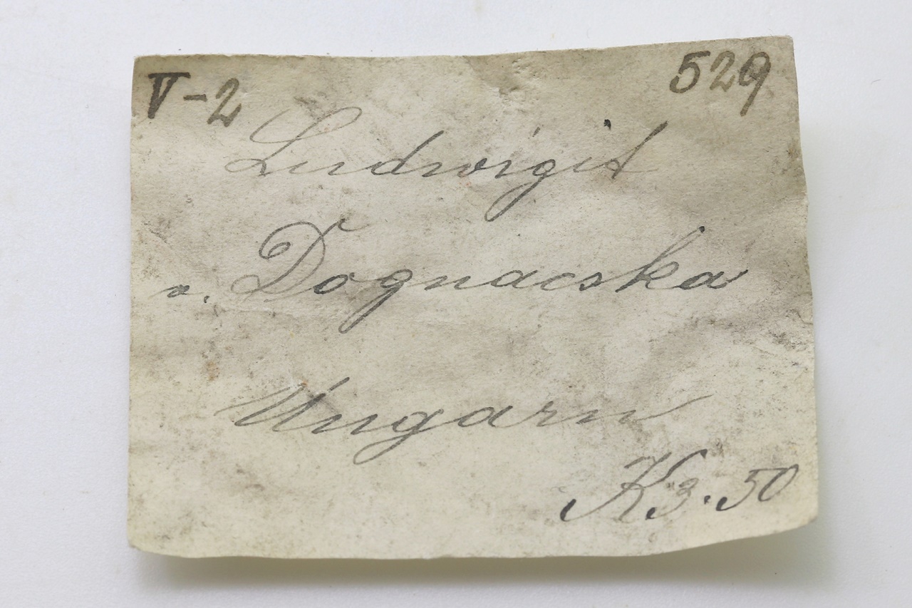 Ludwigite - Image 11