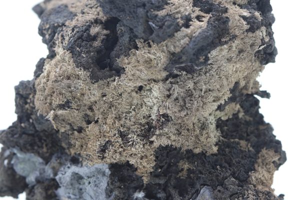 Silver - Image 9