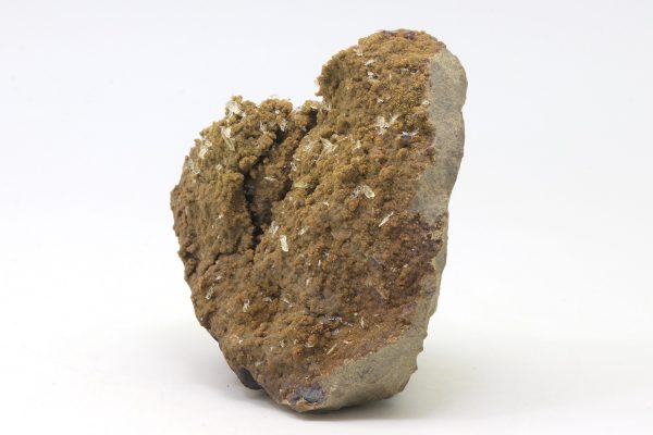 Whewellite, siderite - Image 4