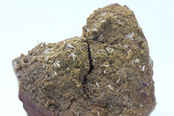 Whewellite, siderite