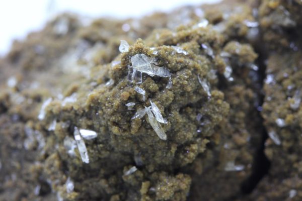 Whewellite, siderite - Image 7