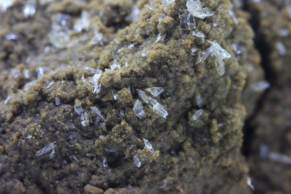 Whewellite, siderite - Image 8