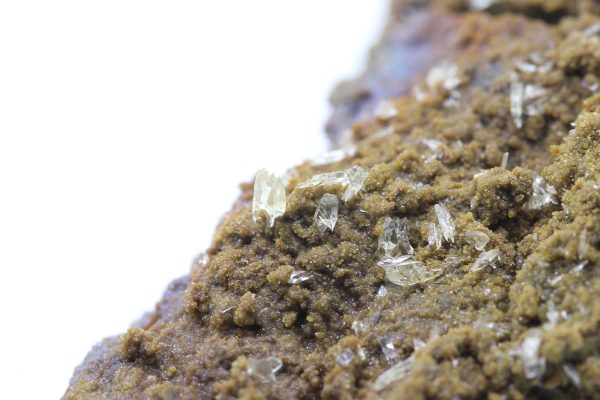 Whewellite, siderite - Image 11