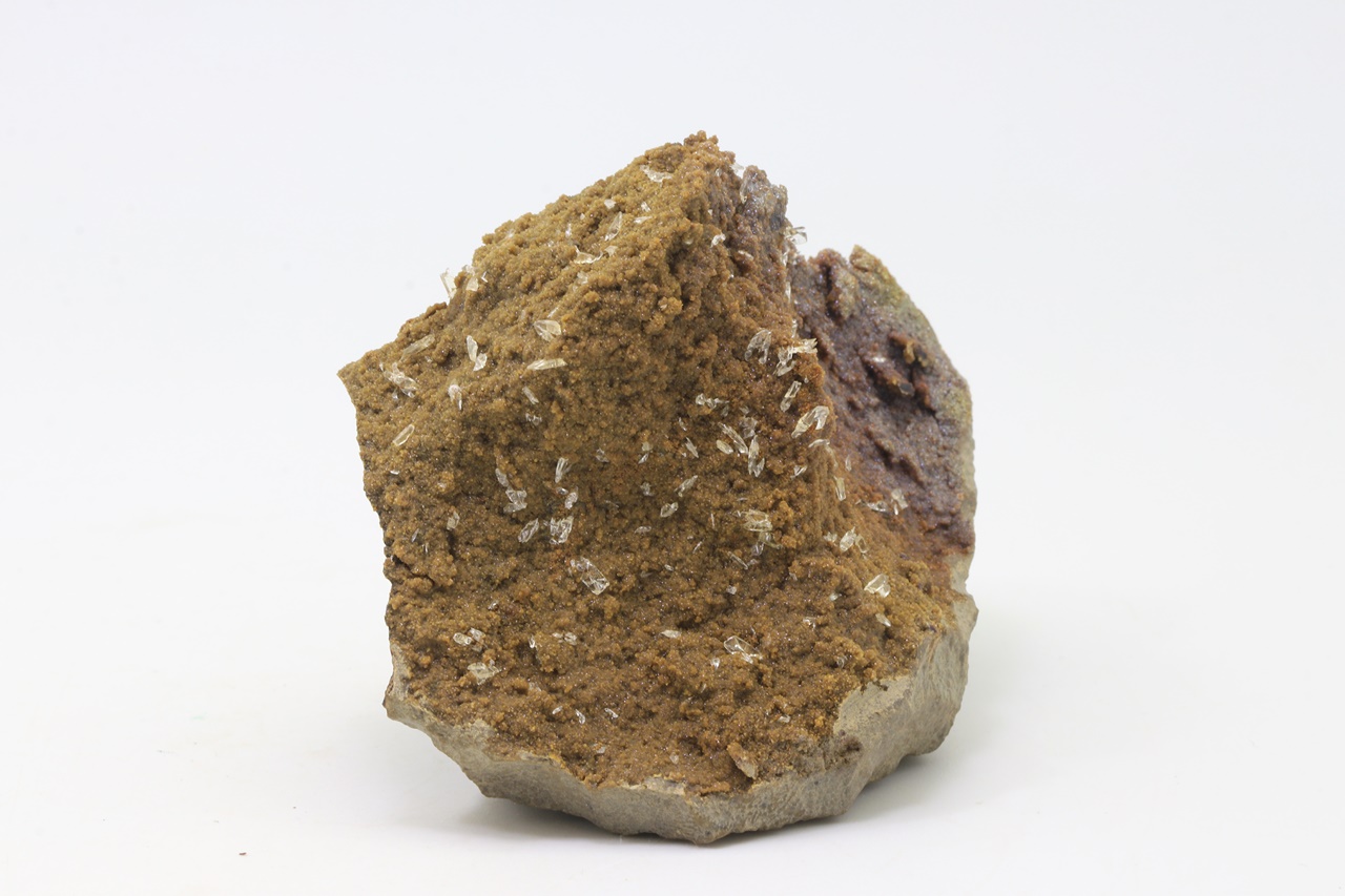 Whewellite, siderite - Image 2