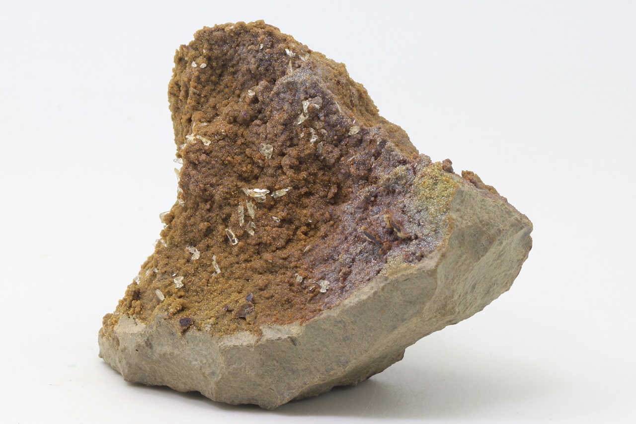 Whewellite, siderite - Image 4