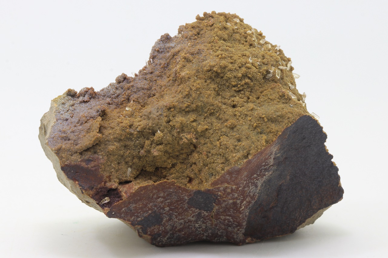Whewellite, siderite - Image 5