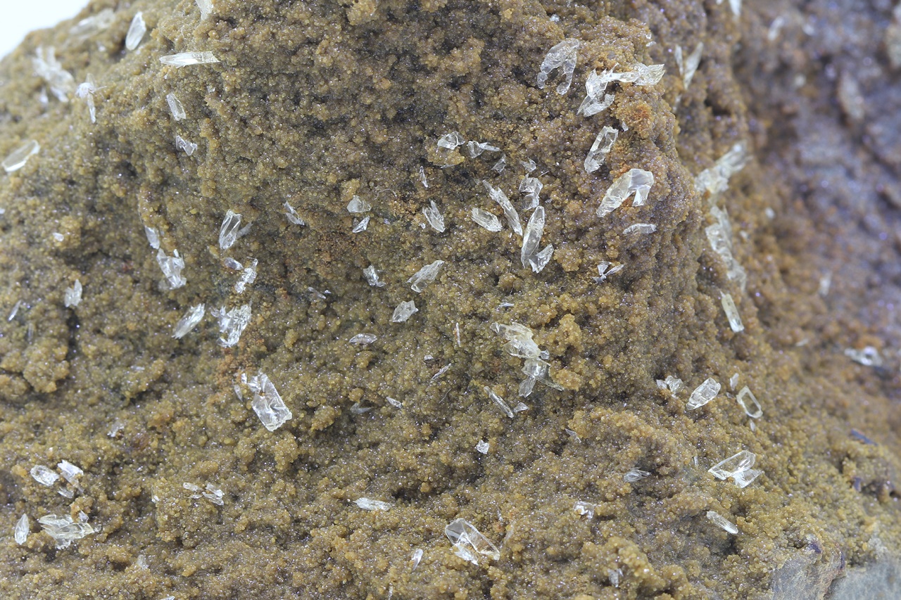 Whewellite, siderite