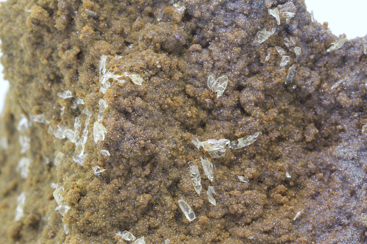 Whewellite, siderite - Image 8