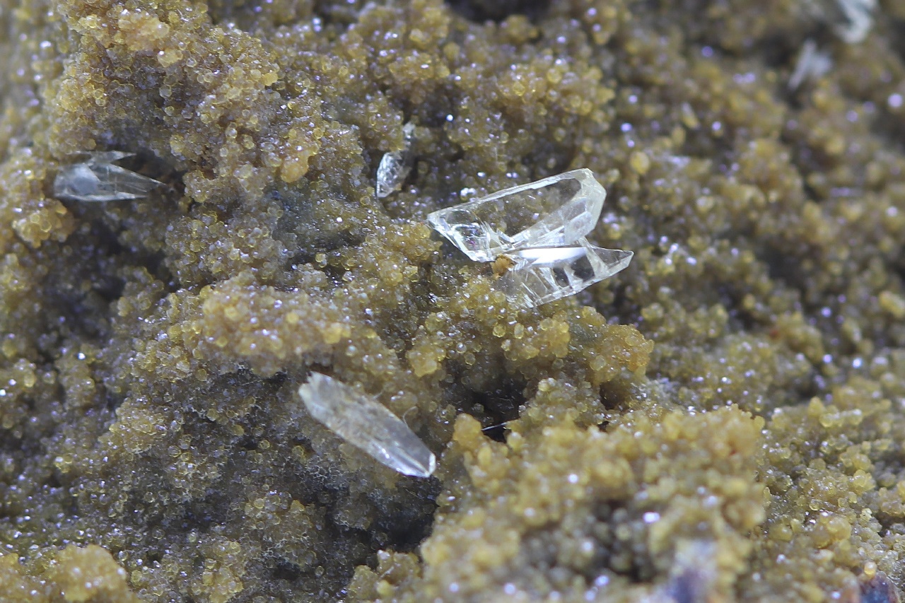 Whewellite, siderite - Image 12