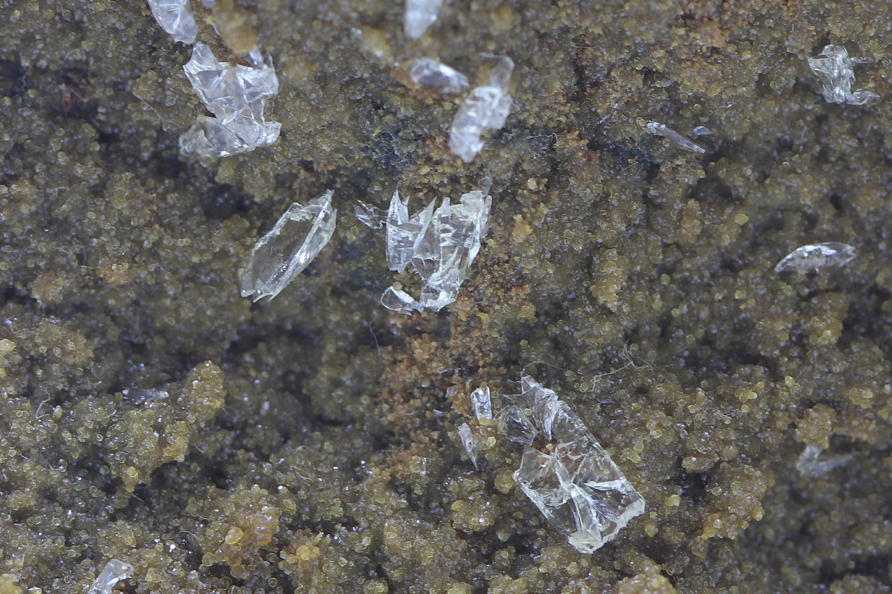 Whewellite, siderite - Image 13