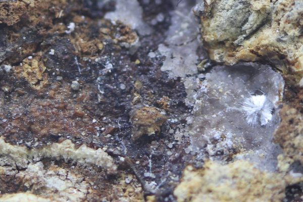 Sainfeldite - Image 7