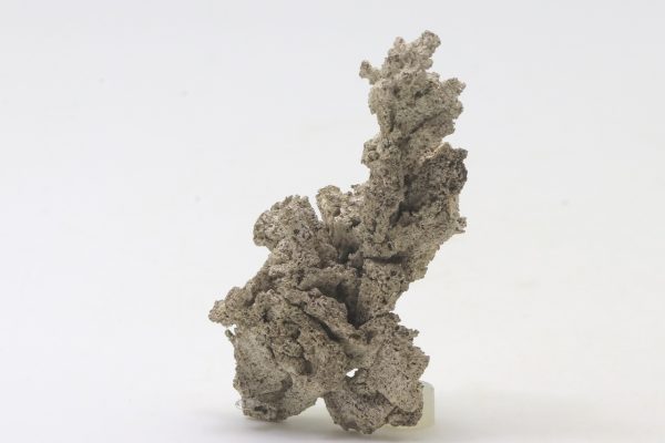 Silver - Image 7