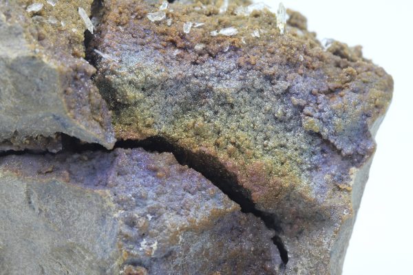 Whewellite, siderite - Image 13