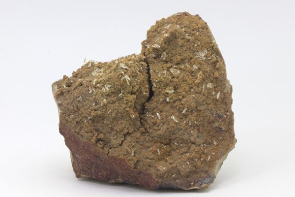 Whewellite, siderite - Image 3