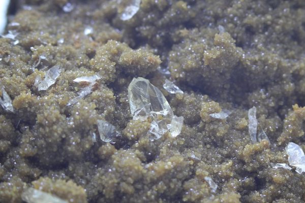 Whewellite, siderite - Image 12