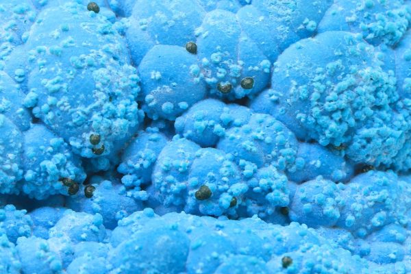 Chrysocolla - Image 7