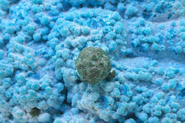Chrysocolla - Image 9