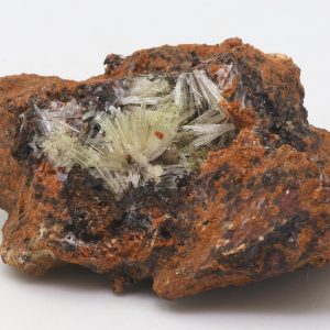 Scholzite