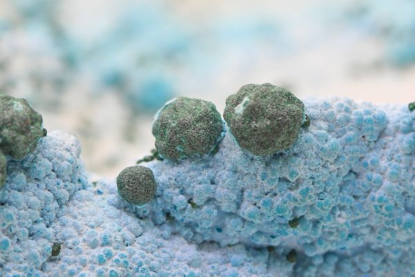 Chrysocolla - Image 10