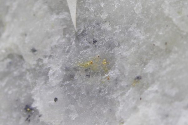 Gold - Image 5