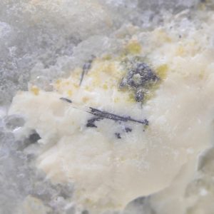 Krupkaite