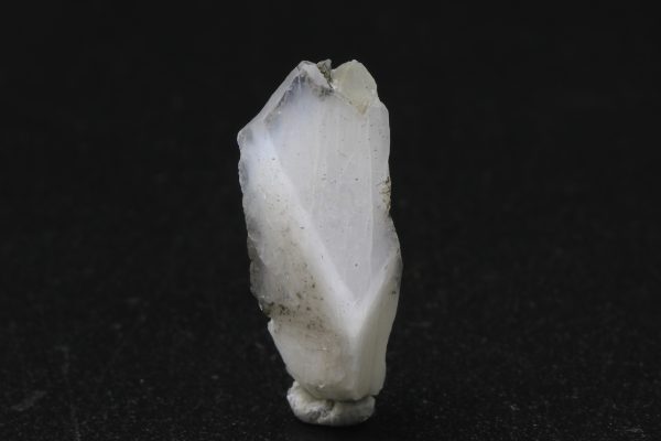 Whewellite - Image 3