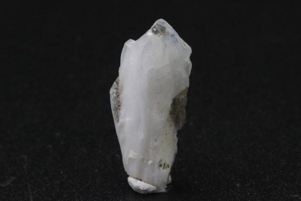 Whewellite - Image 5