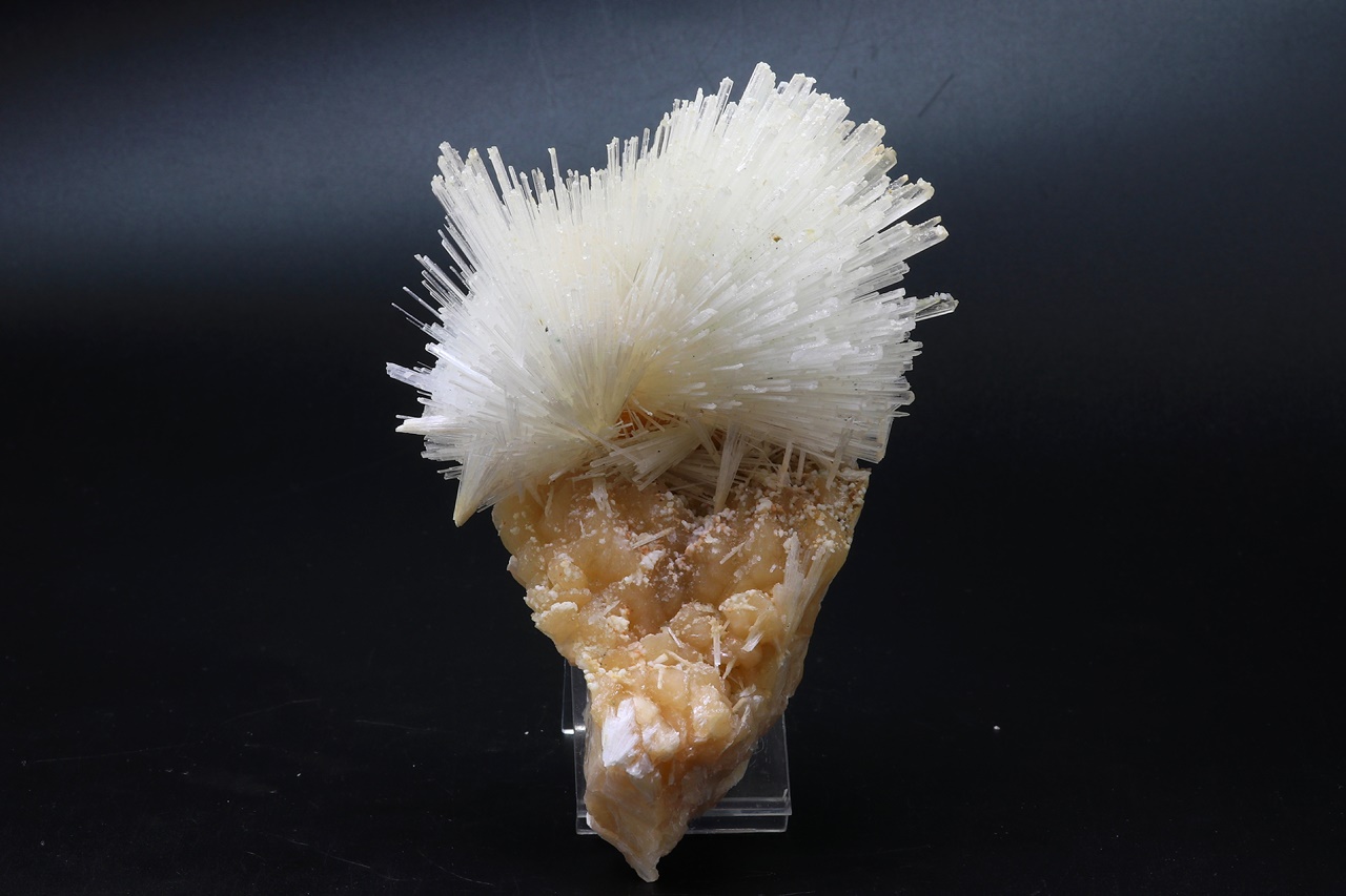 Scolecite