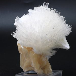 Scolecite