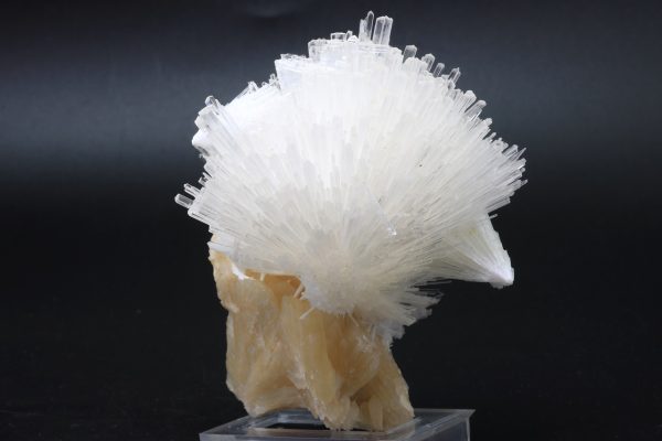 Scolecite