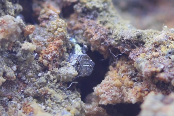 Stephanite - Image 21