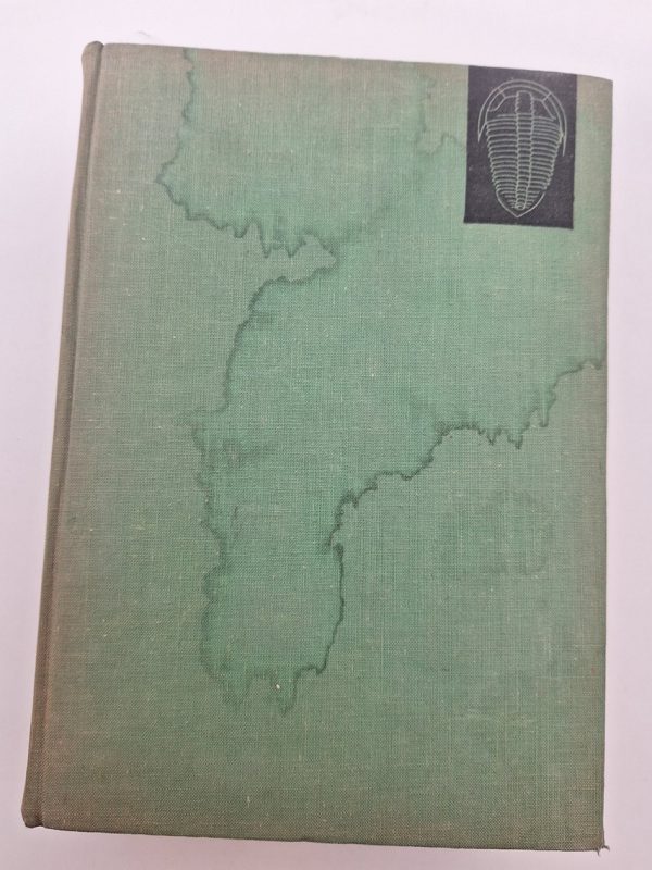 Geological past of the earth - Image 2