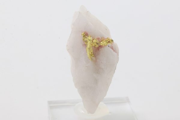 Gold - Image 3
