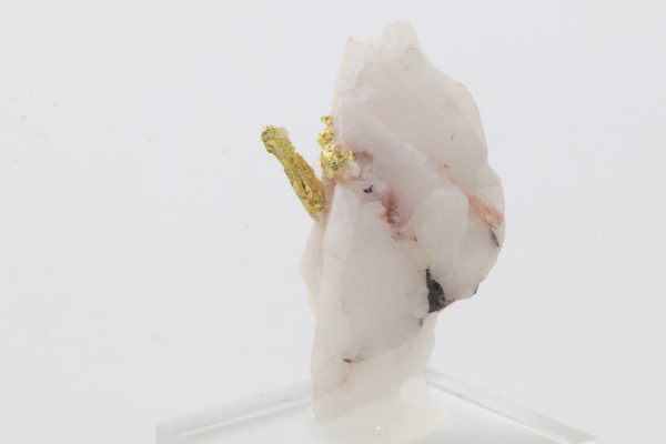 Gold - Image 4