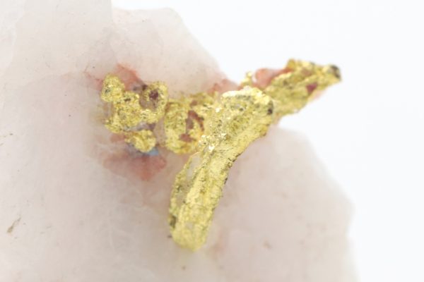 Gold - Image 5