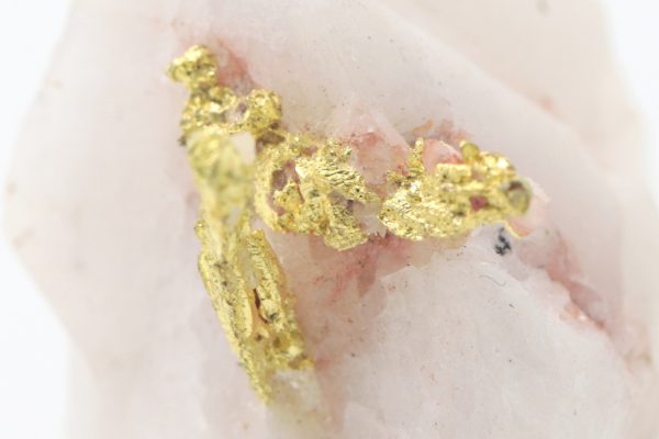Gold - Image 7