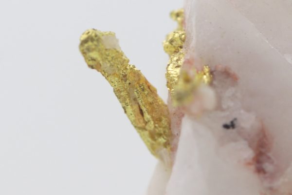 Gold - Image 8