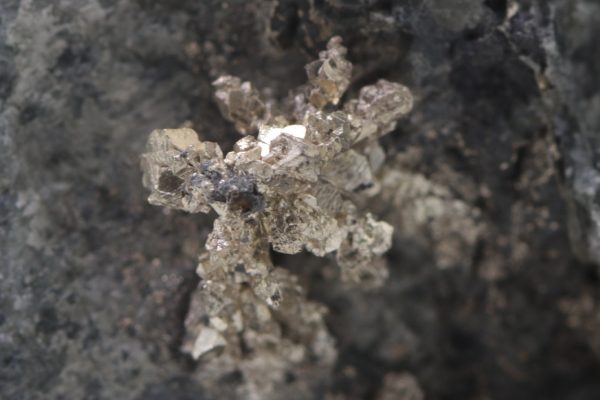 Silver - Image 12