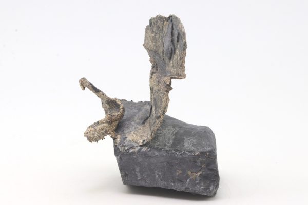 Silver - Image 4