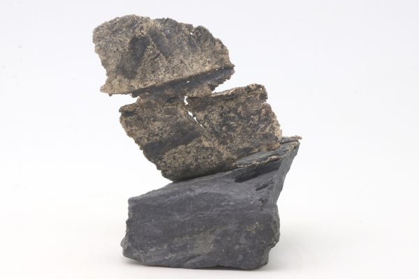 Silver - Image 5