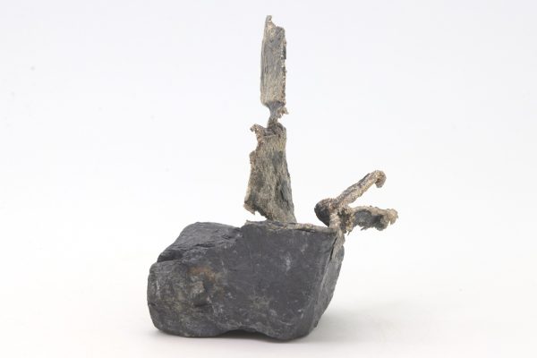 Silver - Image 7