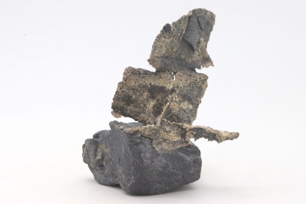 Silver - Image 8