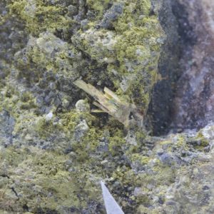 Walpurgite