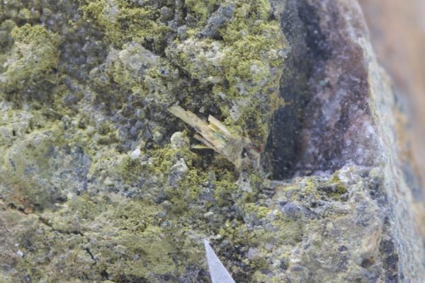 Walpurgite