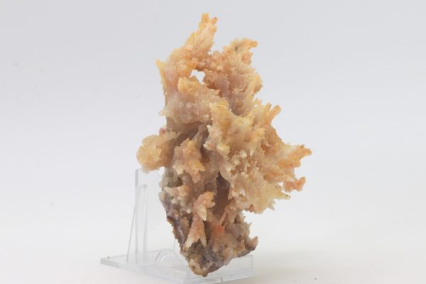 Chalcedony - Image 2
