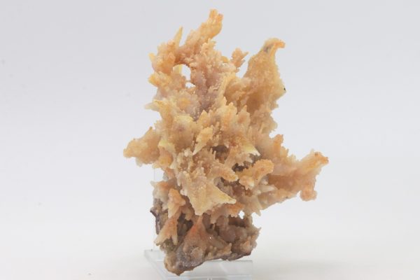 Chalcedony