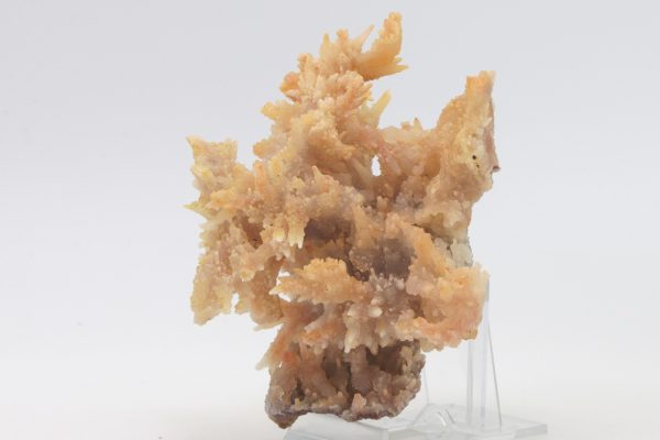 Chalcedony - Image 5
