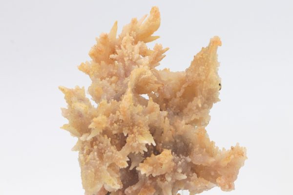 Chalcedony - Image 8